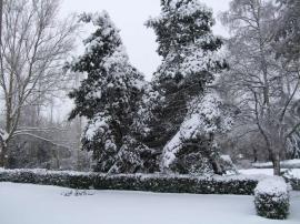 Winter Storm in Portland, 2009