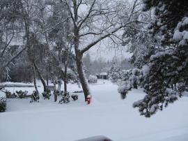 Winter Storm in Portland, 2009