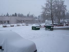 Winter Storm in Portland, 2009